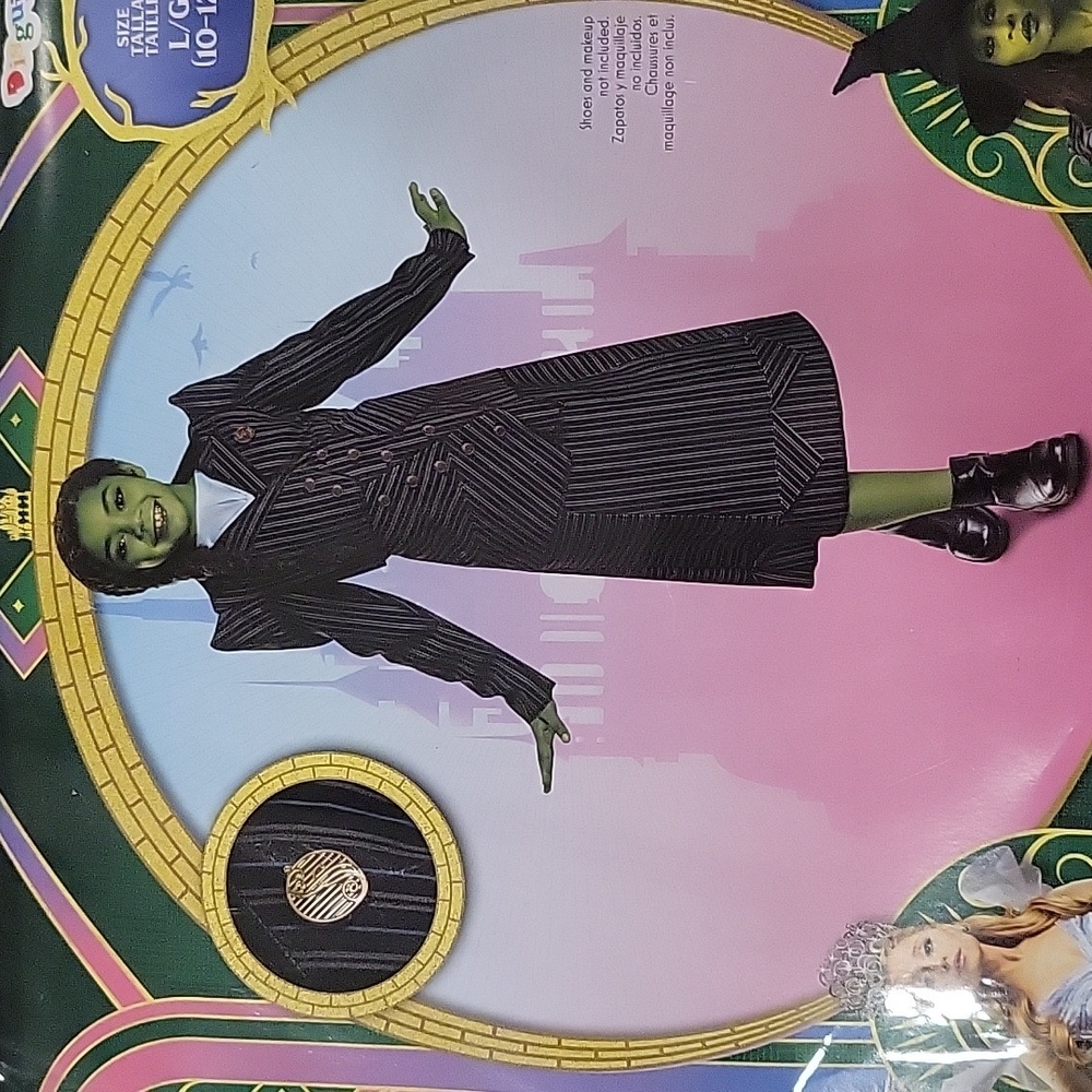 New Wicked Costume. Size Large 10/12. Just Dress.